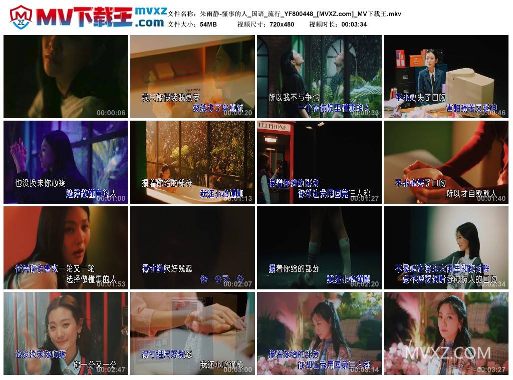 朱雨静-懂事的人_国语_流行_YF800448
